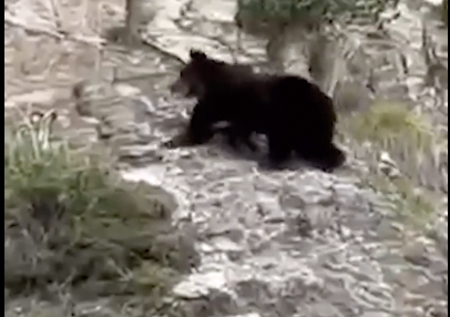 Captura de pantalla 2025-10-27 a las 17.48.00