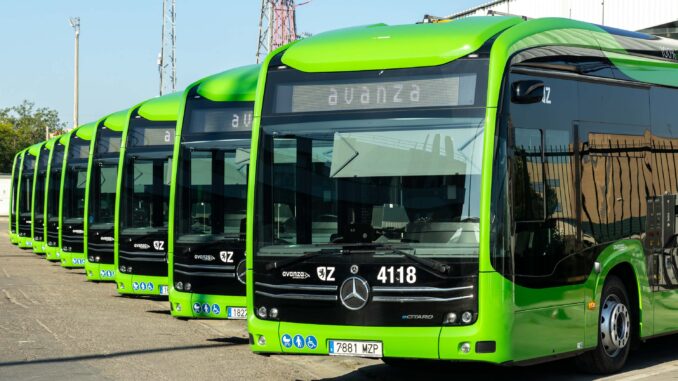buses2
