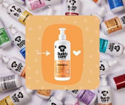 cuidado y bienestar de nuestras mascotas